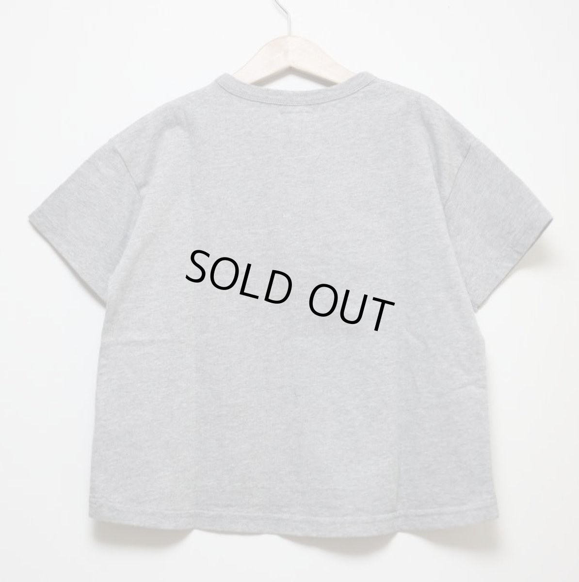 画像2: HIGHKING plate short sleeve【gray】【90-120cm 】 (2)