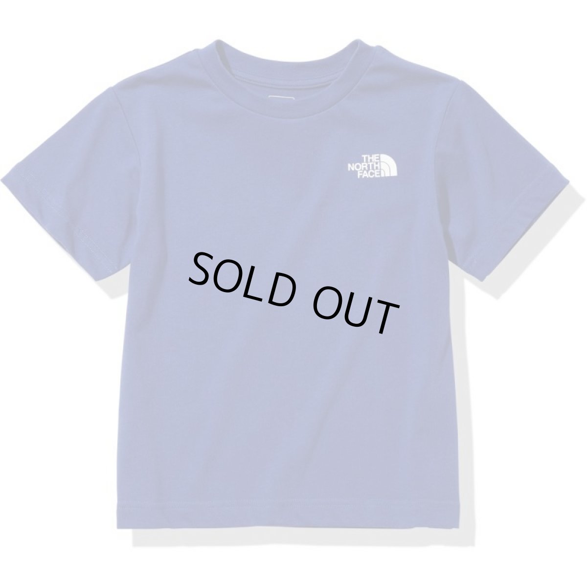 画像2: THE NORTH FACE S/S Big Root Tee (ショートスリーブビッグルートティー) 【BT/ボルトブルー】【100-150cm】 (2)