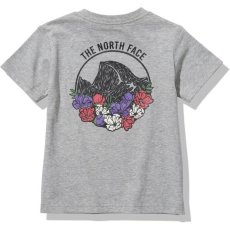 画像1: THE NORTH FACE S/S Graphic View Tee (ショートスリーブグラフィックビューティー) 【Z/ミックスグレー】【100-150cm】 (1)