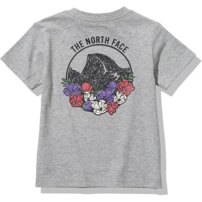 画像1: THE NORTH FACE S/S Graphic View Tee (ショートスリーブグラフィックビューティー) 【Z/ミックスグレー】【100-150cm】