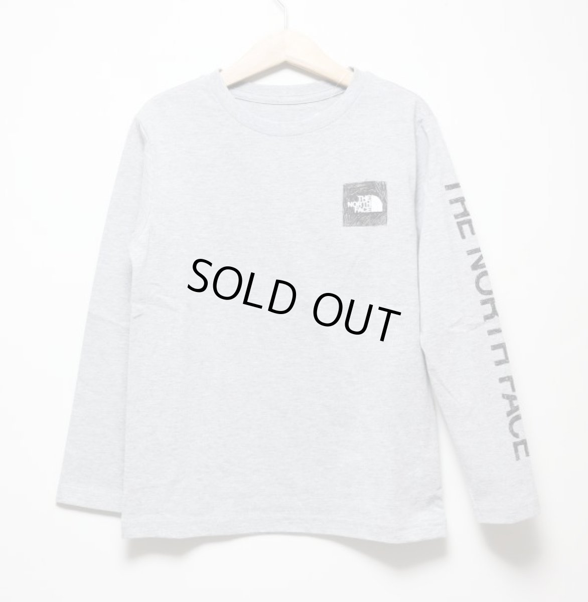 画像2: THE NORTH FACE L/S Sleeve Graphic Tee (ロングスリーブスリーブグラフィックティー) 【Z/ミックスグレー】【100-150cm】 (2)