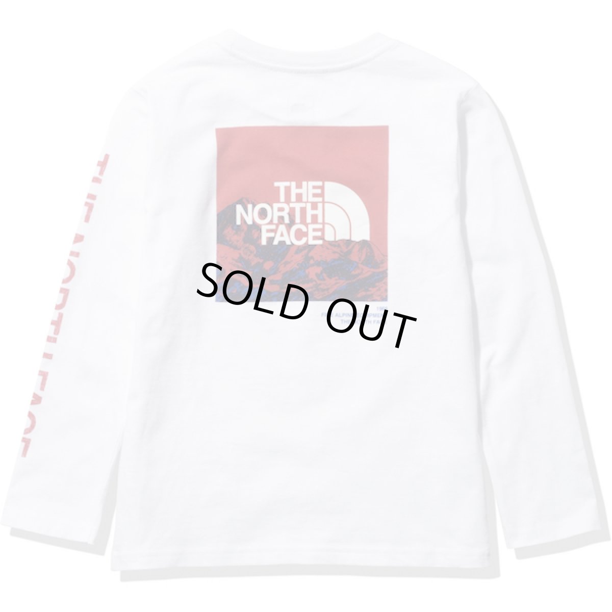 画像1: THE NORTH FACE L/S Sleeve Graphic Tee (ロングスリーブスリーブグラフィックティー) 【W/ホワイト】【100-150cm】 (1)