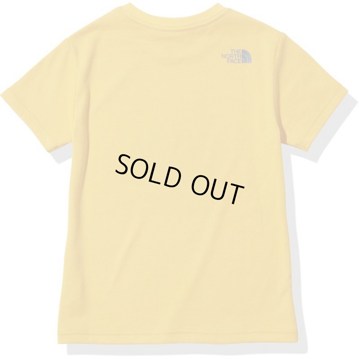 画像2: THE NORTH FACE S/S Camp Luminous Tee (キッズ  ショートスリーブキャンプルミナスティー) 【SG/サミットゴールド】【100-150cm】 (2)