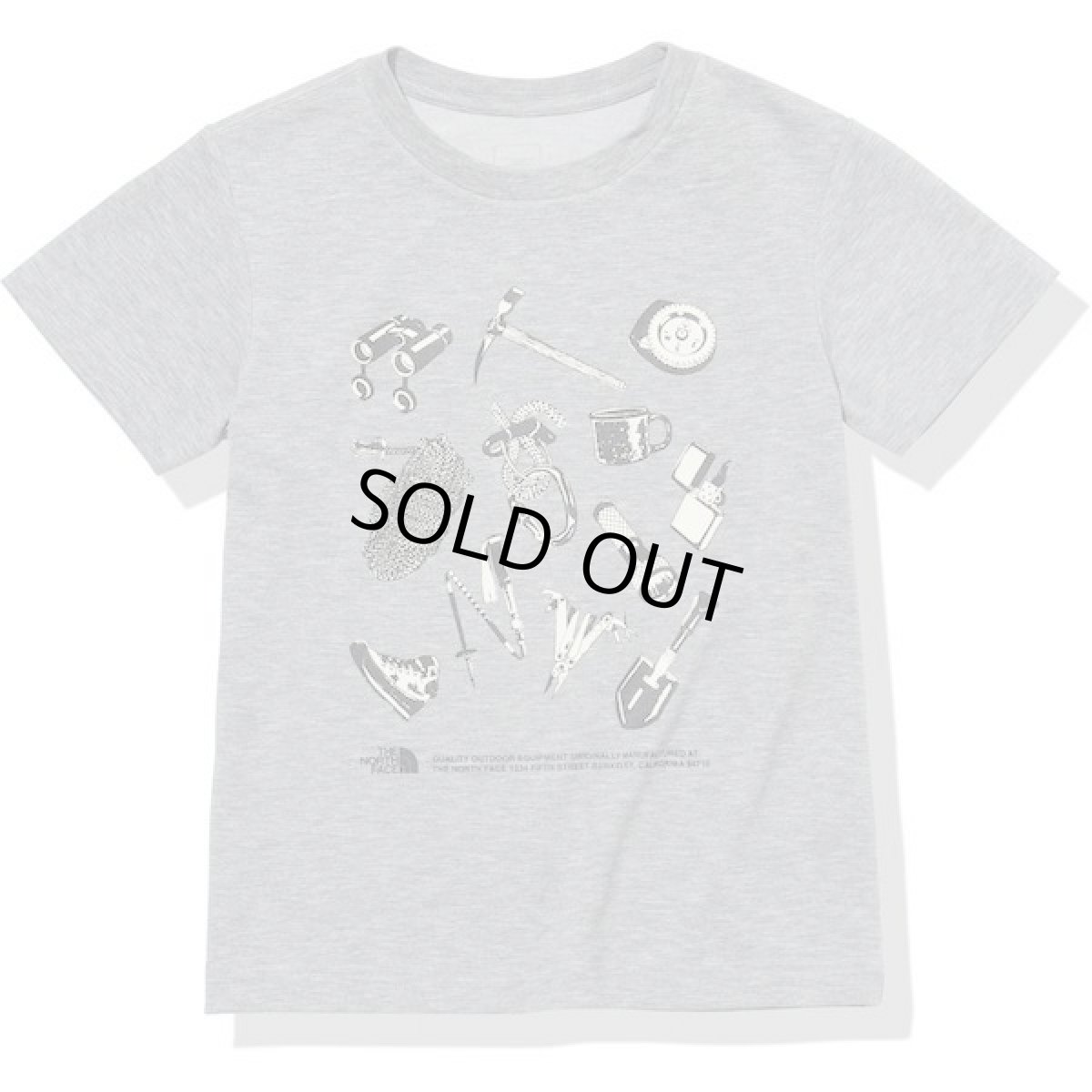 画像1: THE NORTH FACE ショートスリーブTNFバグフリーグラフィックティー キッズ 100cm-150cm (1)