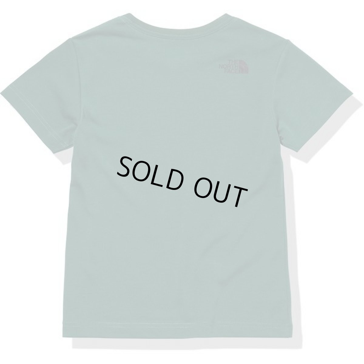 画像2: THE NORTH FACE S/S TNF Bug Free Graphic Tee (キッズ  ショートスリーブTNFバグフリーグラフィックティー) 【EV/エバーグリーン】【100-150cm】 (2)