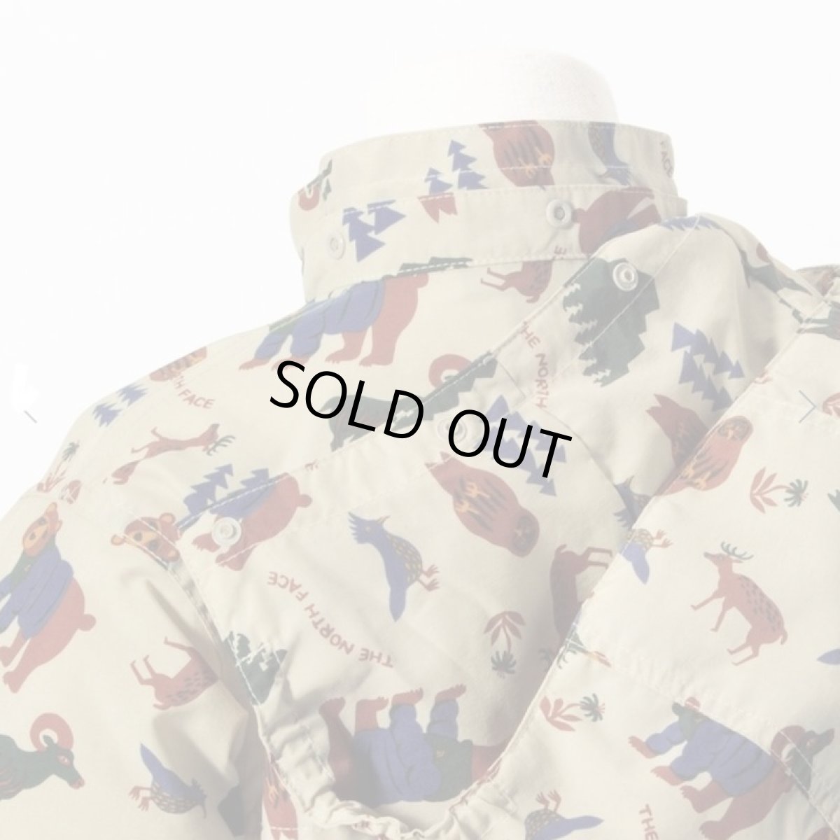 画像11: The North Face(ザ・ノースフェイス) T Novelty Compact Jacket (トドラーノベルティーコンパクトジャケット) (キッズ)【YC/ヨセミテコミューン】【100-120cm】 (11)