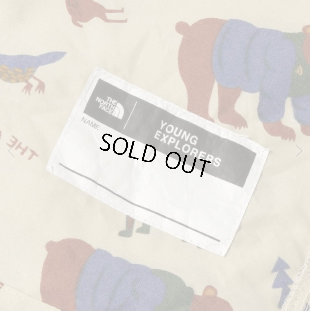 画像9: The North Face(ザ・ノースフェイス) B Novelty Compact Jacket (ノベルティコンパクトジャケット) (ベビー)【YC/ヨセミテコミューン】【80-90cm】 (9)