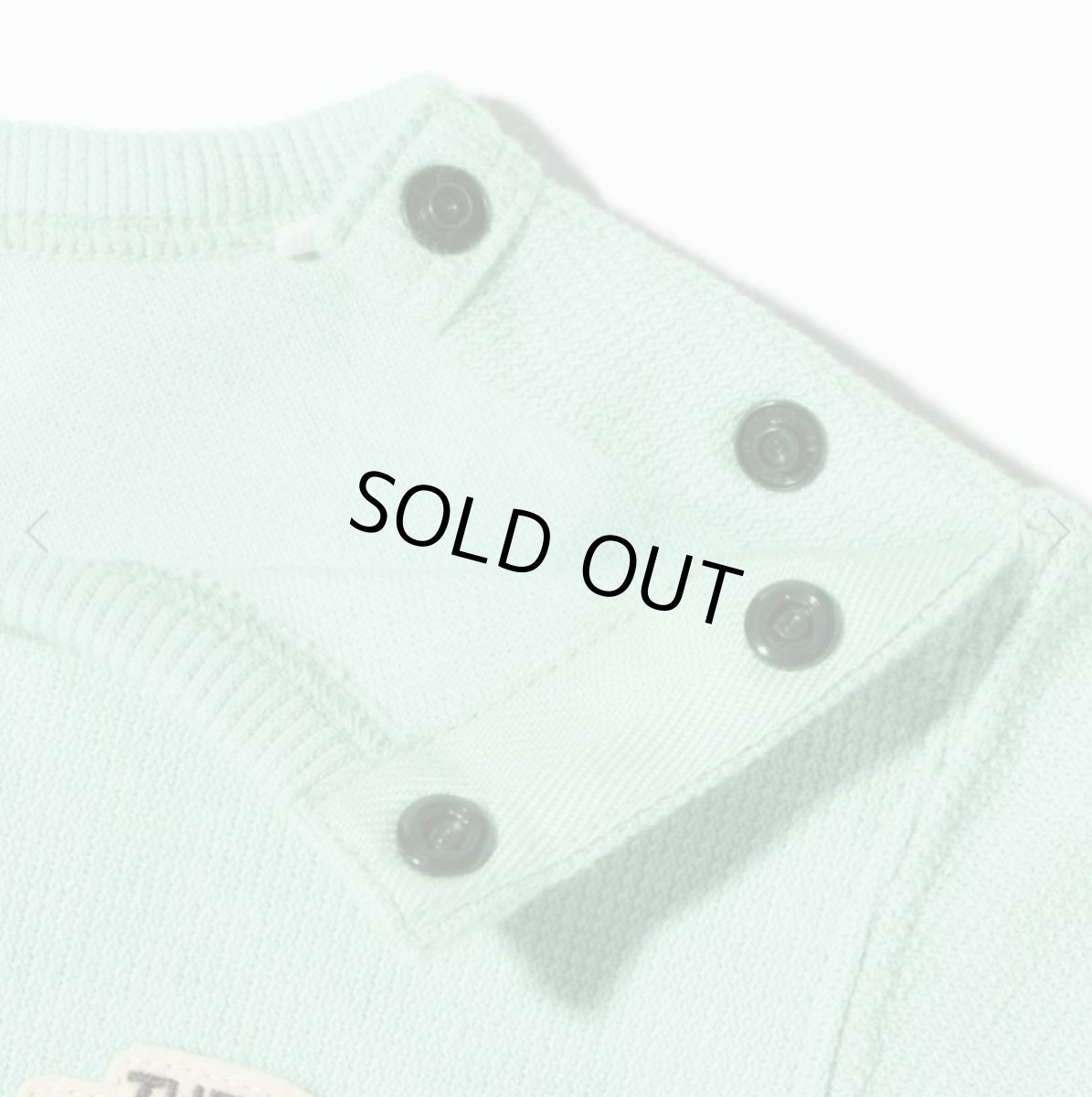 画像4: The North Face(ザ・ノースフェイス) B Latch Pile Crew (ラッチパイルクルー) (ベビー)【WS/ワサビ】【80-90cm】 (4)