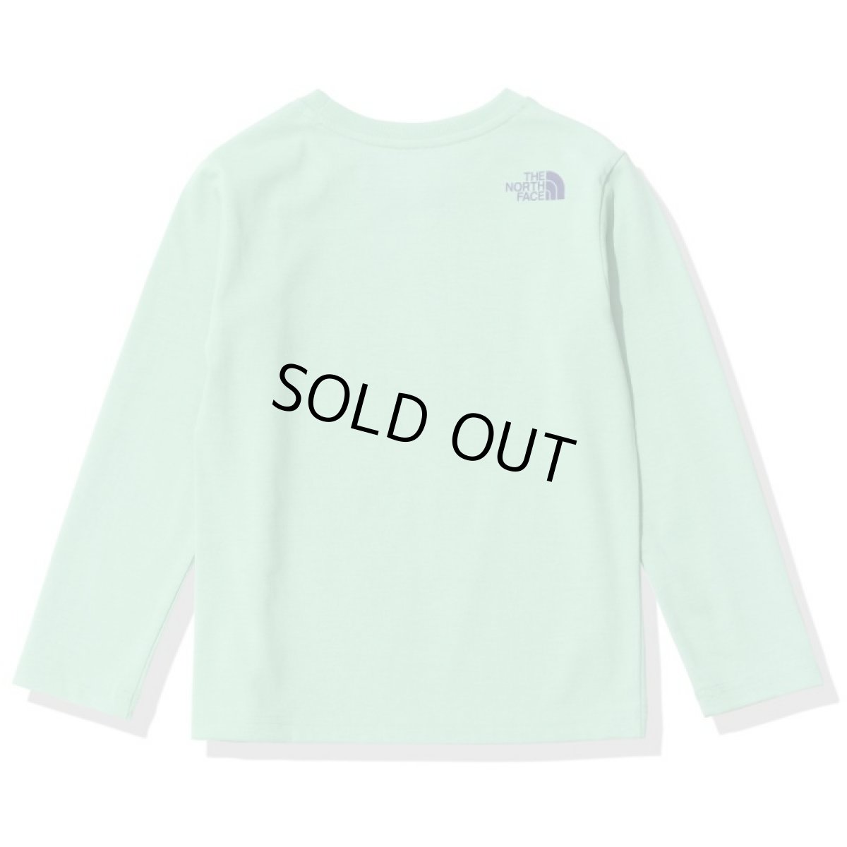 画像2: The North Face(ザ・ノースフェイス) L/S Field Graphic Logo Tee (ロングスリーブフィールドグラフィックロゴティー) (キッズ)【WS/ワサビ】【100-150cm】 (2)