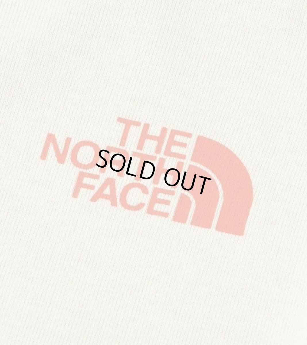 画像3: 【SALE10%OFF】The North Face(ザ・ノースフェイス) L/S Field Graphic Logo Tee (ロングスリーブフィールドグラフィックロゴティー) (キッズ)【SS/サンドストーン】【100-150cm】 (3)