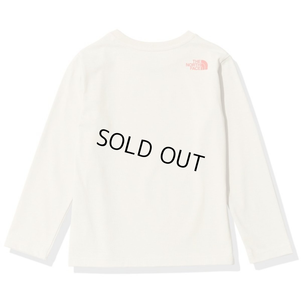 画像2: 【SALE10%OFF】The North Face(ザ・ノースフェイス) L/S Field Graphic Logo Tee (ロングスリーブフィールドグラフィックロゴティー) (キッズ)【SS/サンドストーン】【100-150cm】 (2)