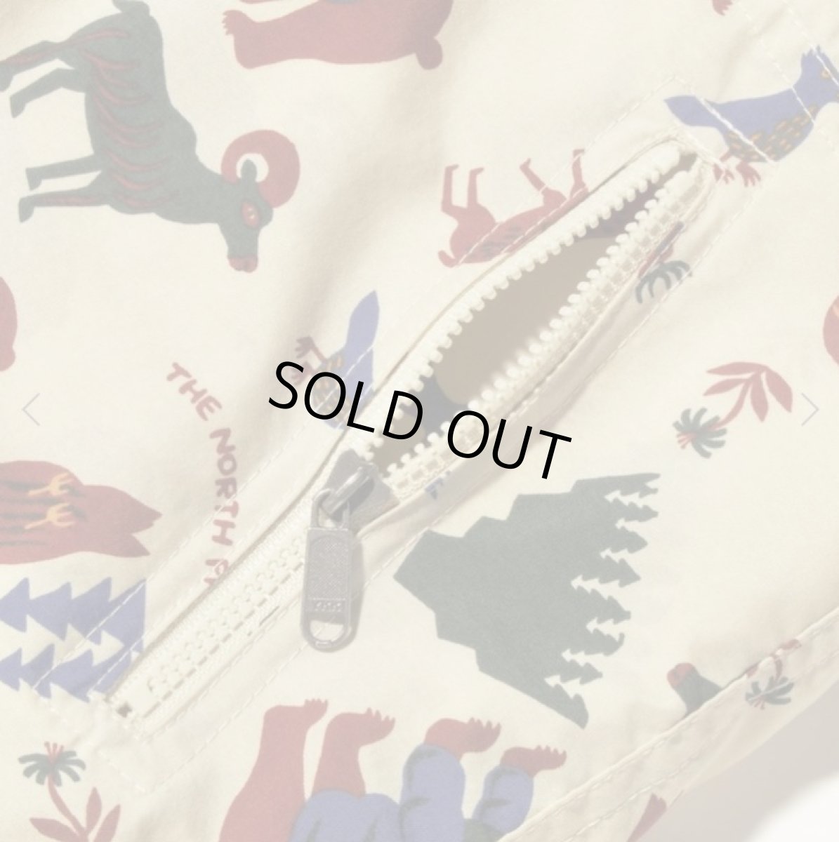 画像6: The North Face(ザ・ノースフェイス) T Novelty Compact Nomad Jacket (トドラーノベルティコンパクトノマドジャケット) (キッズ)【YC/ヨセミテコミューン】【100-120cm】 (6)