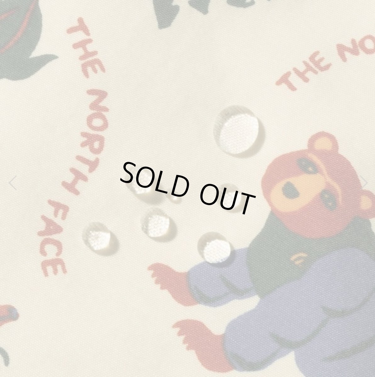 画像6: The North Face(ザ・ノースフェイス) B Novelty Compact Nomad Jacket (ノベルティコンパクトノマドジャケット) (ベビー)【YC/ヨセミテコミューン】【80-90cm】 (6)