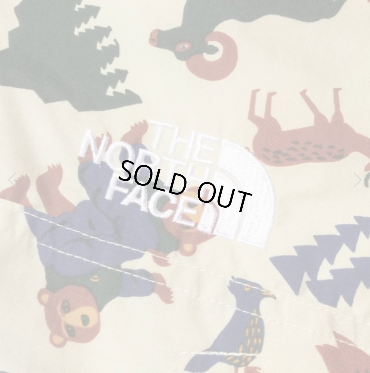 画像4: The North Face(ザ・ノースフェイス) T Novelty Compact Nomad Jacket (トドラーノベルティコンパクトノマドジャケット) (キッズ)【YC/ヨセミテコミューン】【100-120cm】 (4)