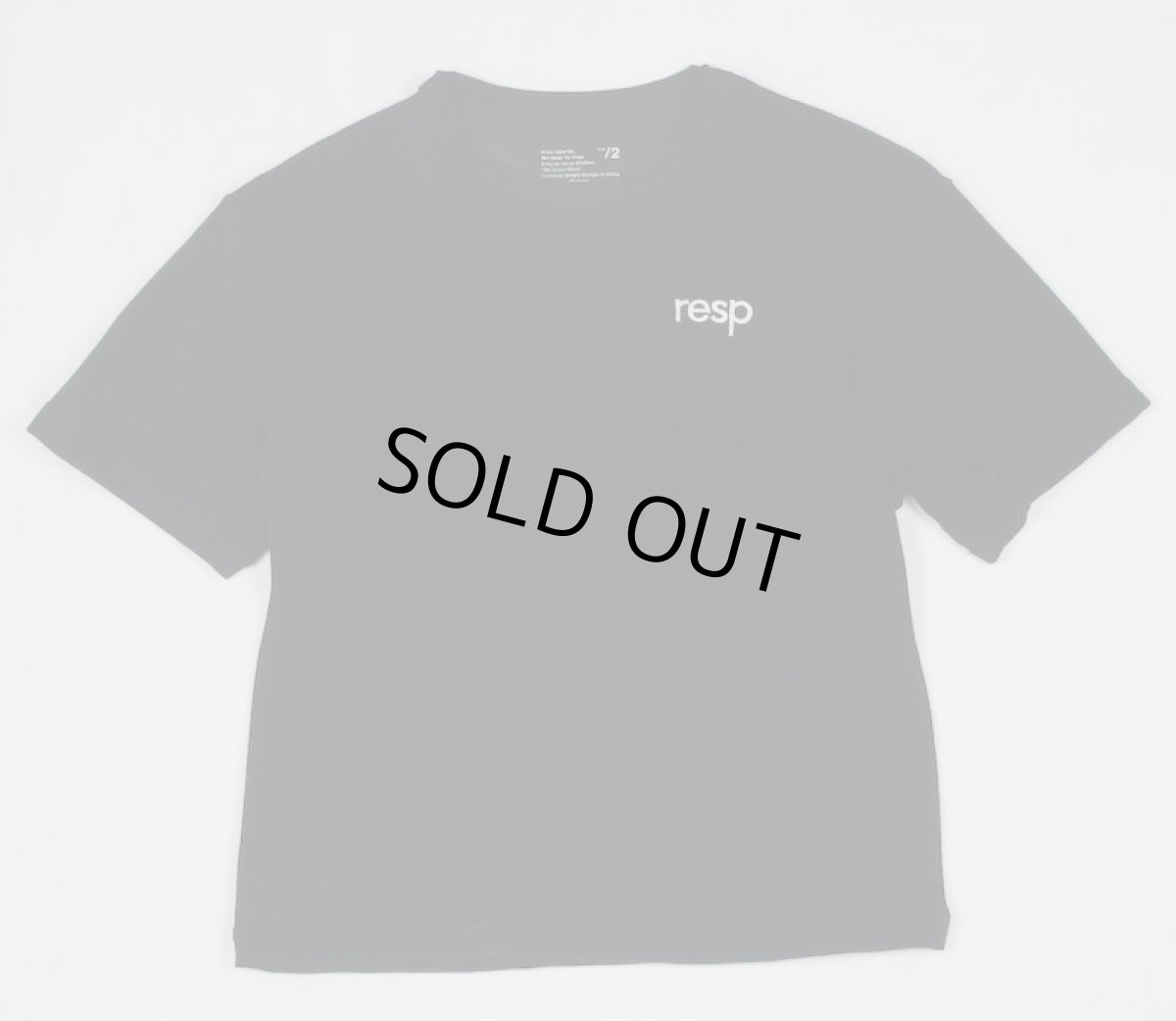 画像3: RE/SP(アールイーエスピー) メッシュTEE【BLACK】【130-160cm】 (3)