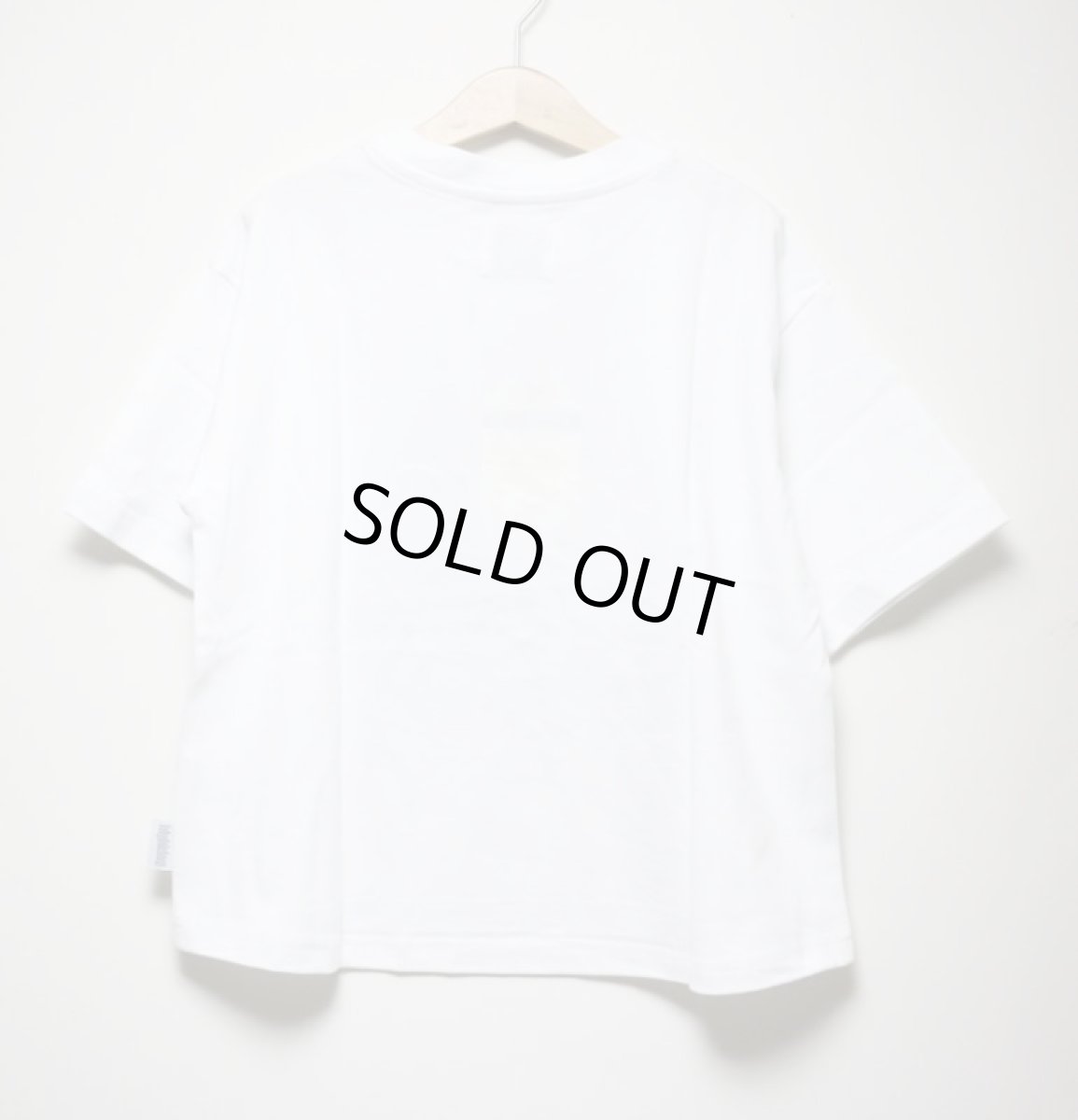 画像6: HIGHKING(ハイキング) sfc short sleeve【white】【100-120cm 】 (6)