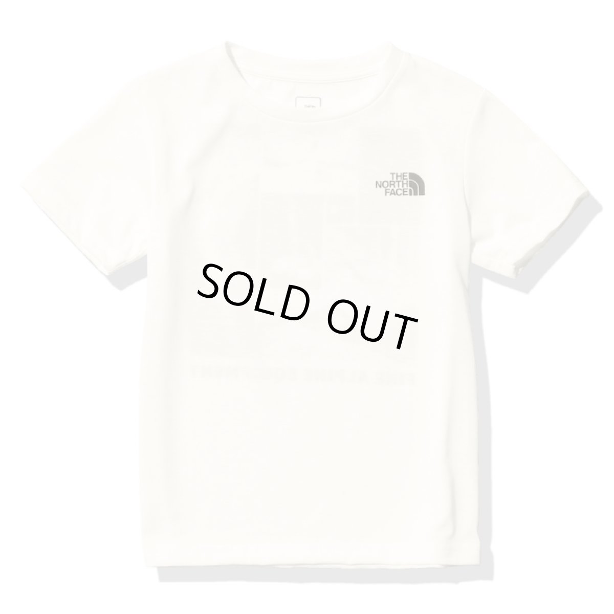 画像2: THE NORTH FACE ショートスリーブファイヤーフライティー キッズ 100cm-150cm (2)