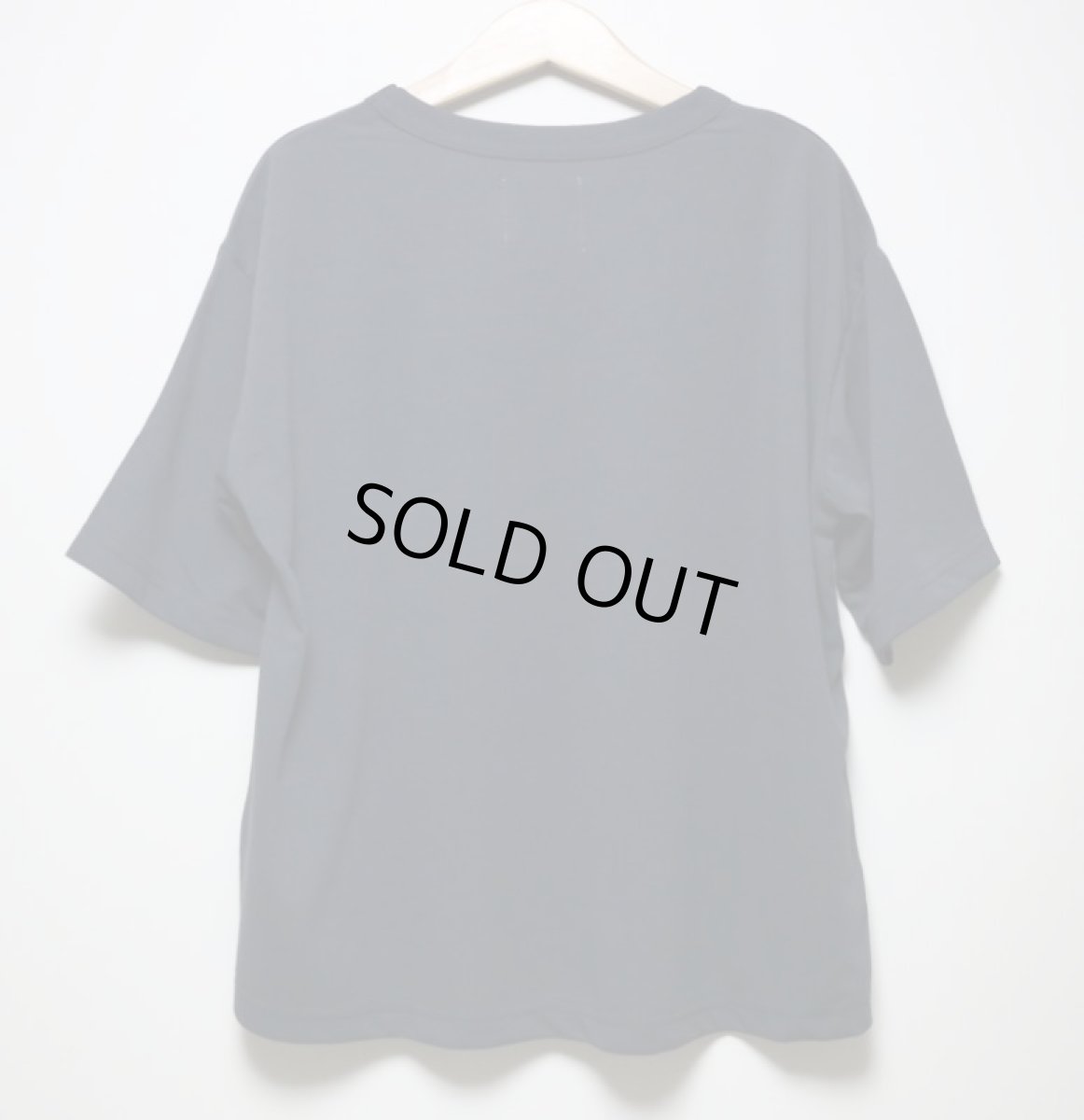 画像6: ハイキング キッズ Tシャツ HIGHKING earth short sleeve【100 110 120】 (6)