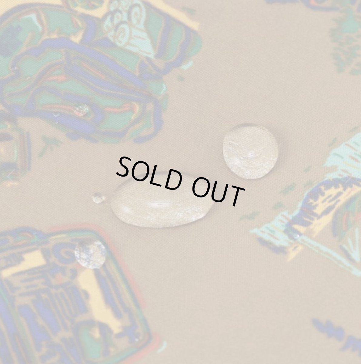 画像5: ノースフェイス キッズ 水陸両用パンツ THE NORTH FACE ノベルティークラスファイブショート Novelty Class V Short 【CB/TNFキャンプブラウン】【100 110 120 130 140 150】子供服 (5)