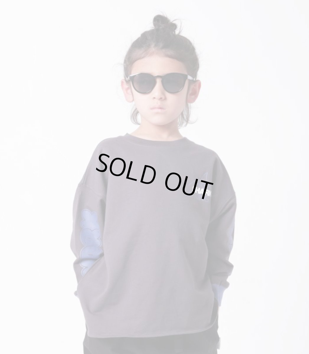 画像1: ハイキング キッズ 長袖Tシャツ HIGHKING shark long sleeve【100 110 120】 (1)