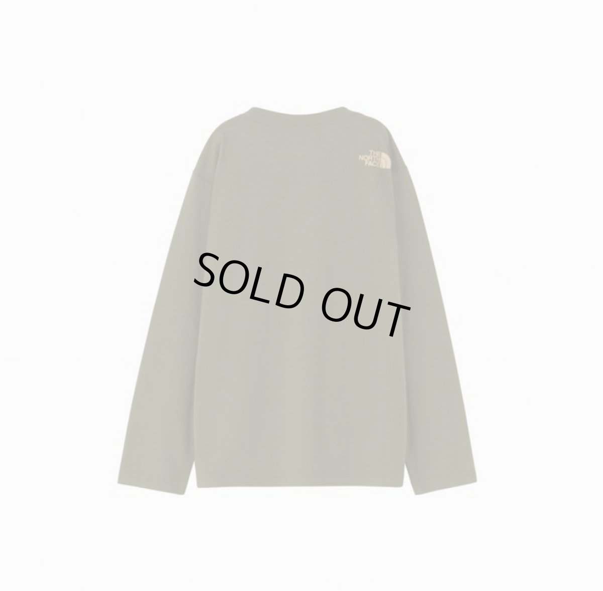 画像2: ノースフェイス キッズ tシャツ THE NORTH FACE ロングスリーブシレトコトコティー L/S Shiretoko Toko Tee 【NT/ニュートープ】 【100 110 120 130 140 150】 (2)
