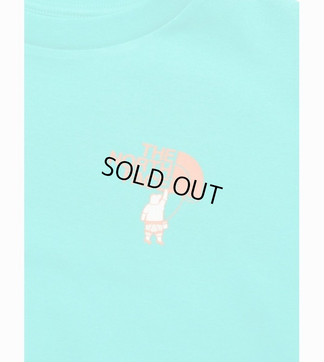 画像7: THE NORTH FACE ザ・ノース・フェイス S/S Shiretoko Toko Tee キッズ ショートスリーブシレトコトコティー  ガイザーアクア(GA) 100cm 110cm 120cm 130cm 140cm 150cm NTJ32430ST (7)