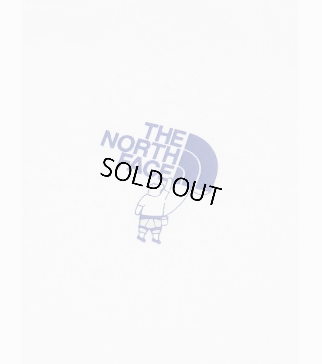 画像3: THE NORTH FACE ショートスリーブシレトコトコティー キッズ 100cm-150cm  (3)