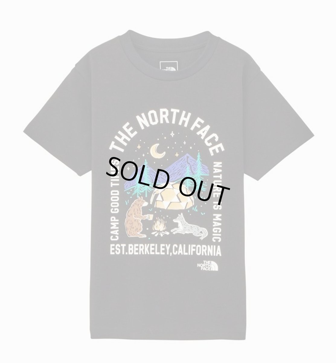 画像1: THE NORTH FACE ザ・ノース・フェイス S/S Luminous Camp Graphic Tee キッズ ショートスリーブルミナスキャンプグラフィックティー ブラック・K 100cm 110cm 120cm 130cm 140cm 150cm  (1)