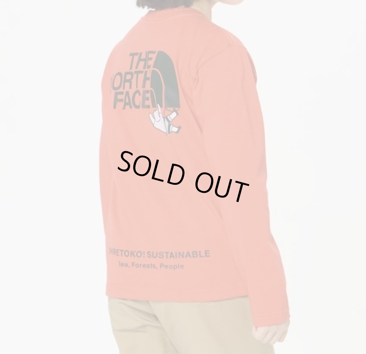 画像5: ザ・ノースフェイス/THE NORTH FACE/キッズ/ジュニア/子供服  L/S SHIRETOKO TOKO TEE ロングスリーブシレトコトコティー TNFオレンジ・TO 100cm 110cm 120cm 130cm 140cm 150cm (5)