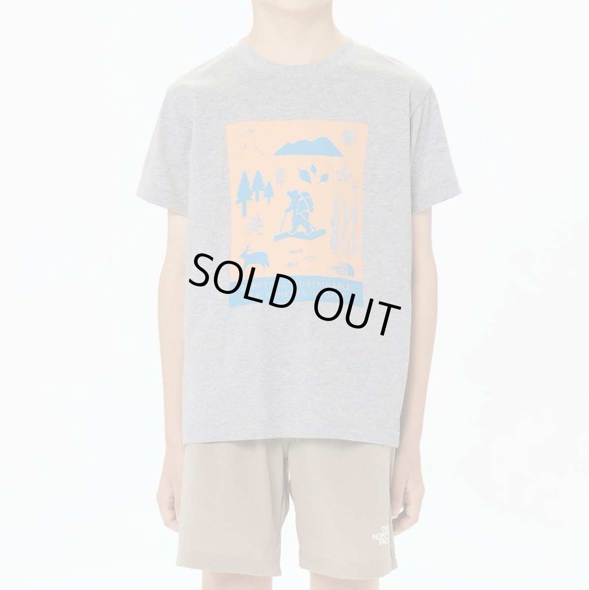 画像2: 【SALE40%OFF】THE NORTH FACE ショートスリーブシレトコトコティー キッズ 130cm-160cm (2)