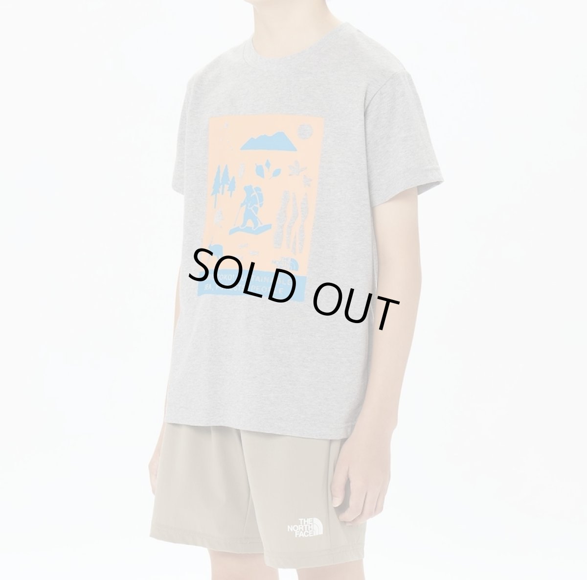 画像3: 【SALE40%OFF】THE NORTH FACE ショートスリーブシレトコトコティー キッズ 130cm-160cm (3)