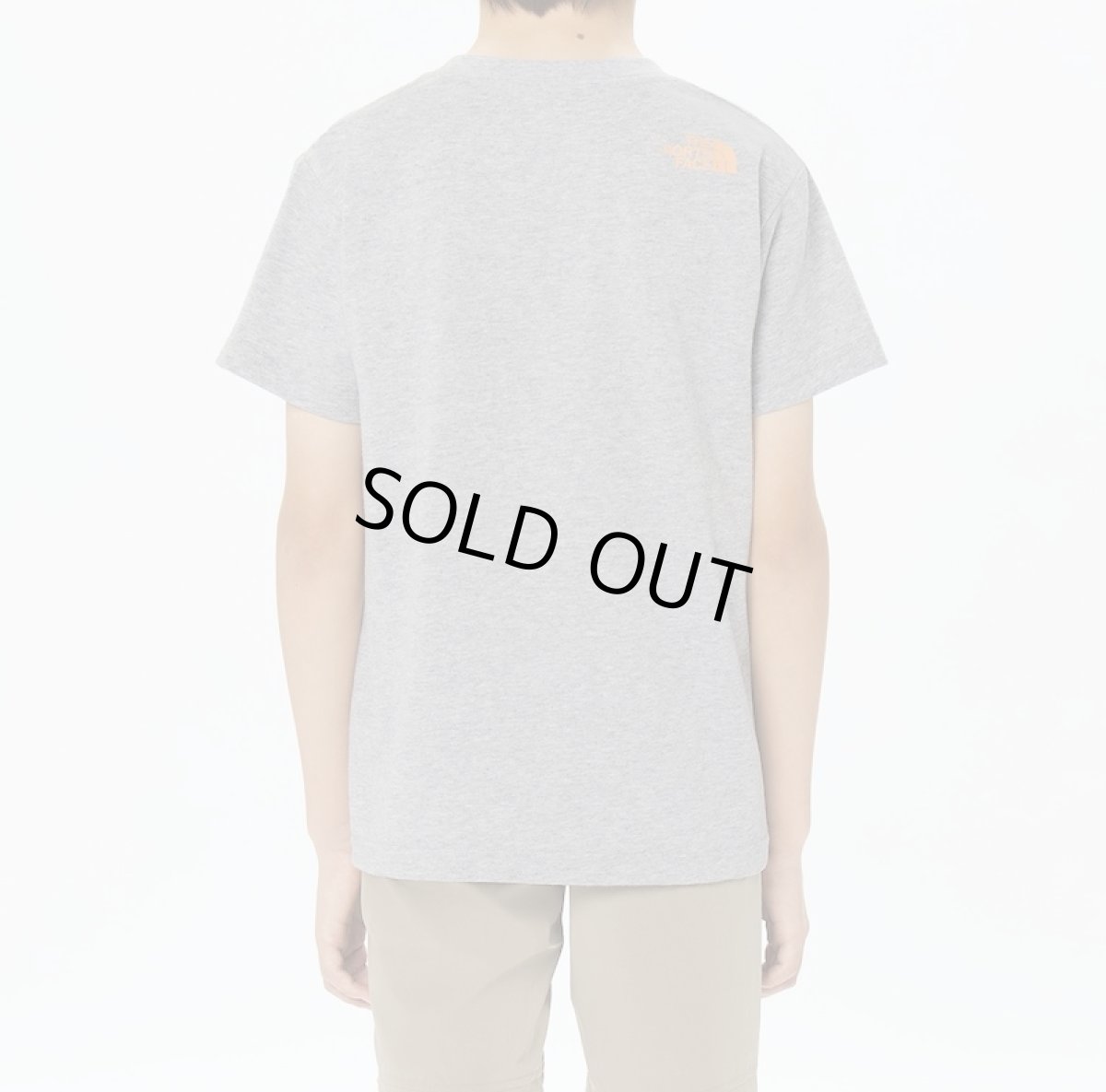 画像4: 【SALE40%OFF】THE NORTH FACE ショートスリーブシレトコトコティー キッズ 130cm-160cm (4)