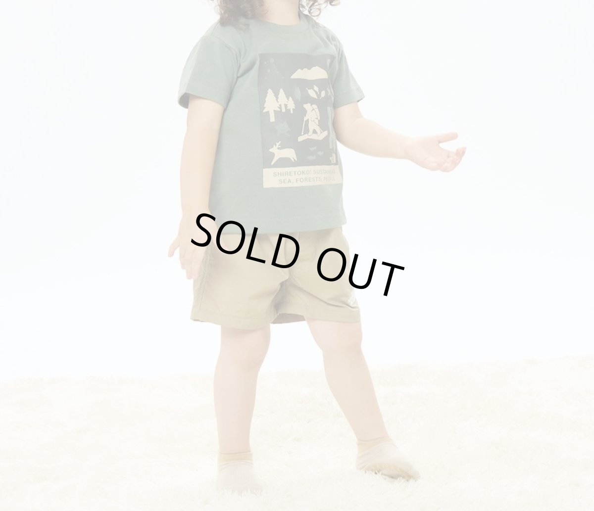 画像2: THE NORTH FACE ベビーショートスリーブシレトコトコティー ベビー 80cm-90cm (2)