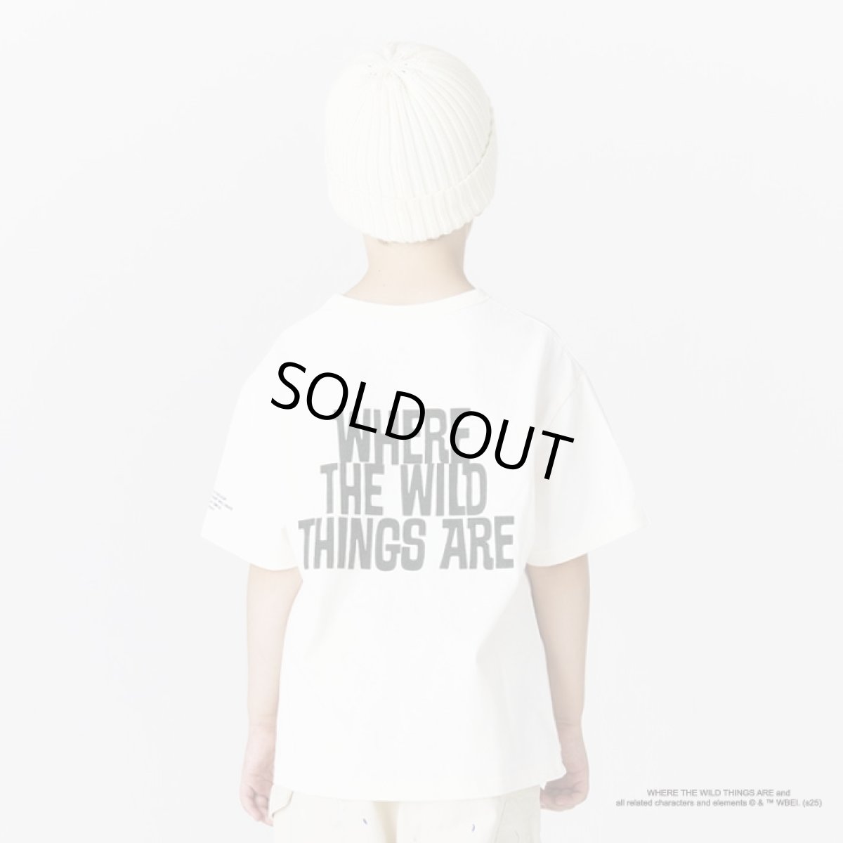 画像3: SMOOTHY スムージー Photo Movie Tee Monster かいじゅうたちがいるところ (3)