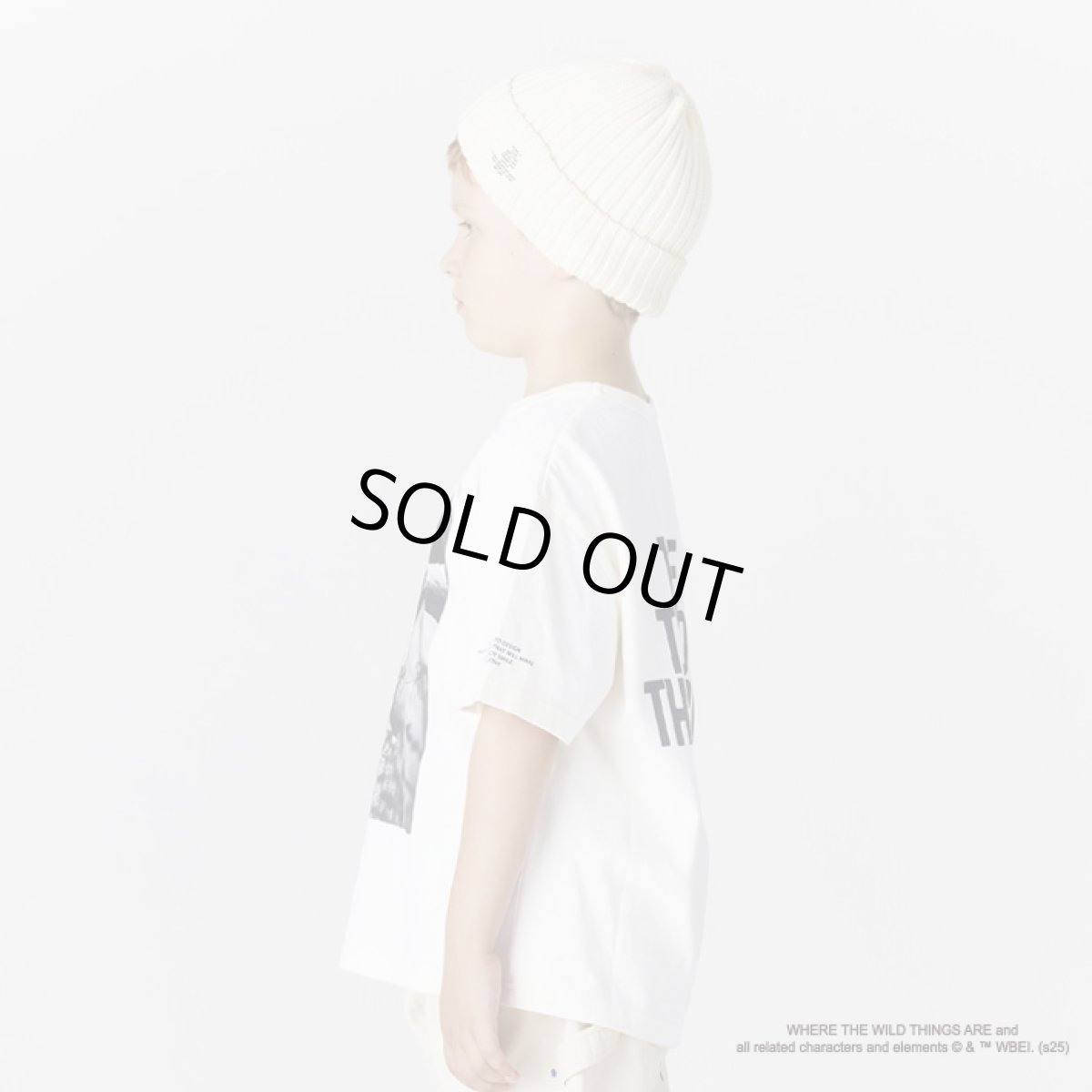 画像2: SMOOTHY スムージー Photo Movie Tee Monster かいじゅうたちがいるところ (2)