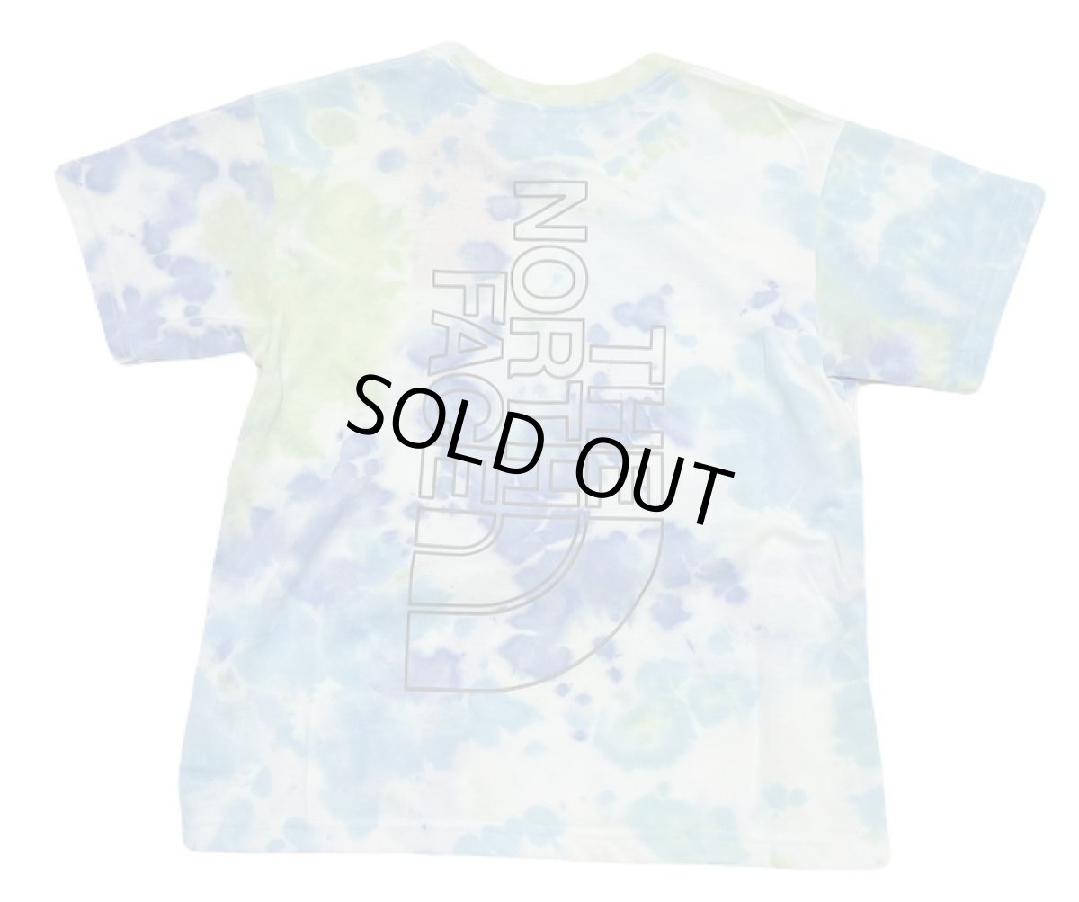 画像1: THE NORTH FACE kids S/S Novelty Big Root Tee ショートスリーブノベルティビッグルートティー（キッズ） ブルー・B (130cm〜160cm) (1)