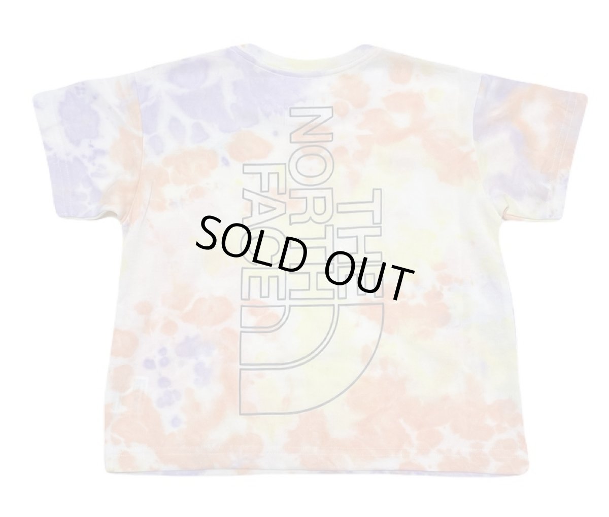 画像1: THE NORTH FACE トドラーショートスリーブノベルティビッグルートティー キッズ 100cm -120cm (1)