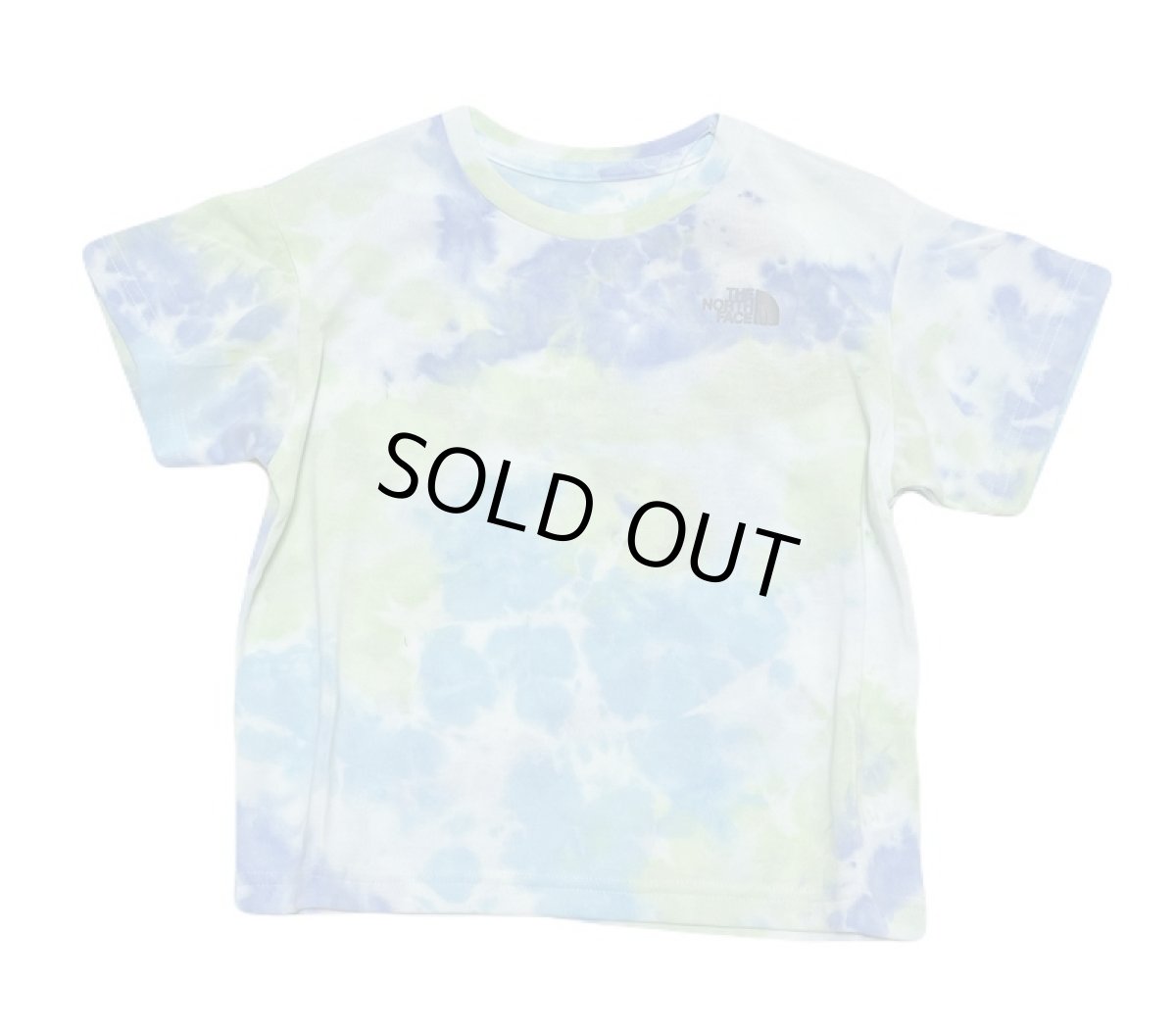 画像2: THE NORTH FACE トドラーショートスリーブノベルティビッグルートティー キッズ 100cm-120cm (2)