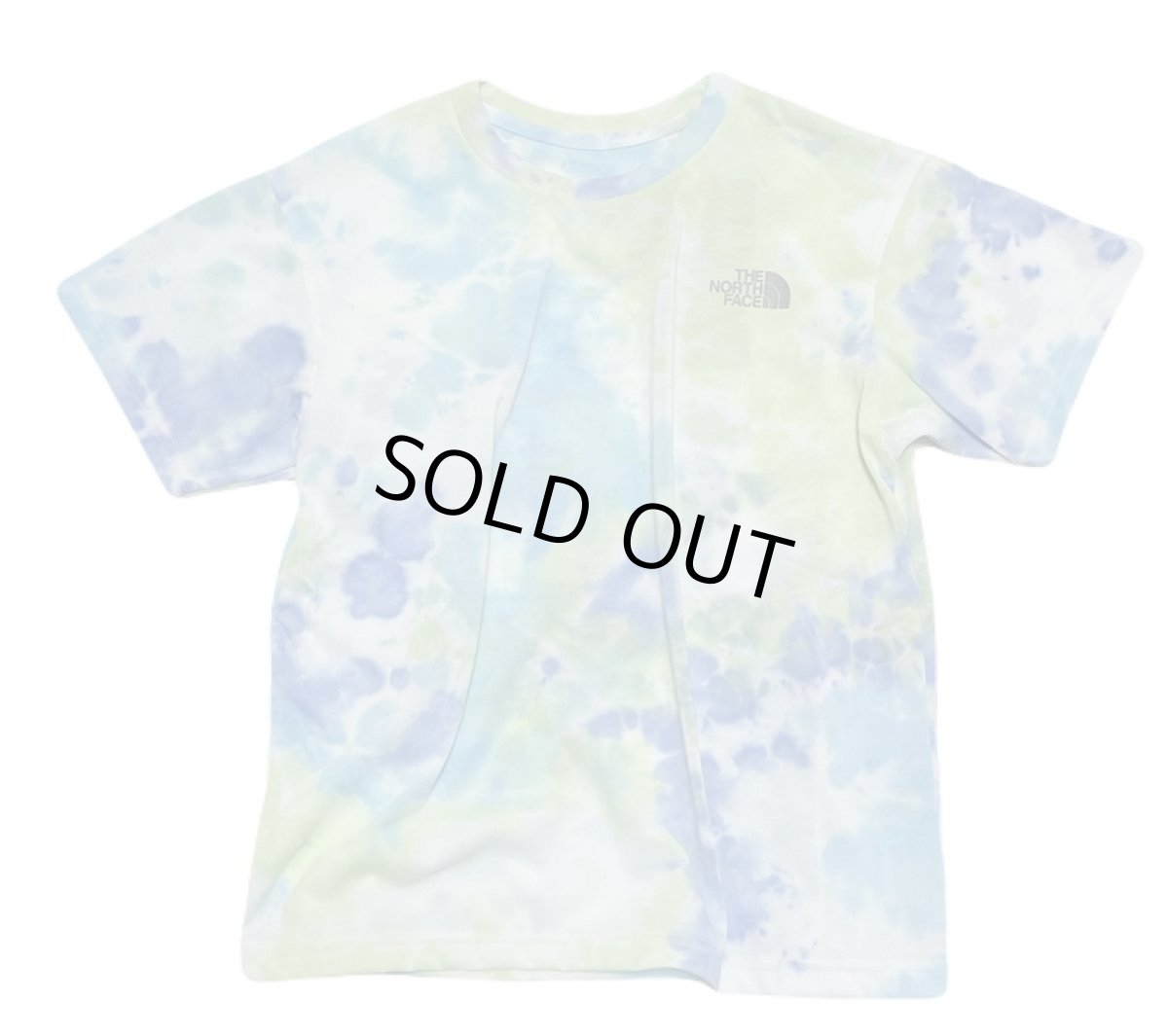 画像2: THE NORTH FACE kids S/S Novelty Big Root Tee ショートスリーブノベルティビッグルートティー（キッズ） ブルー・B (130cm〜160cm) (2)