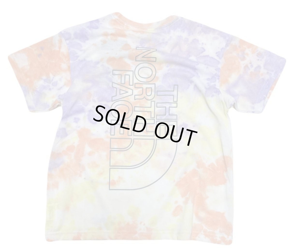 画像1: THE NORTH FACE ショートスリーブノベルティビッグルートティー キッズ 130cm-160cm (1)