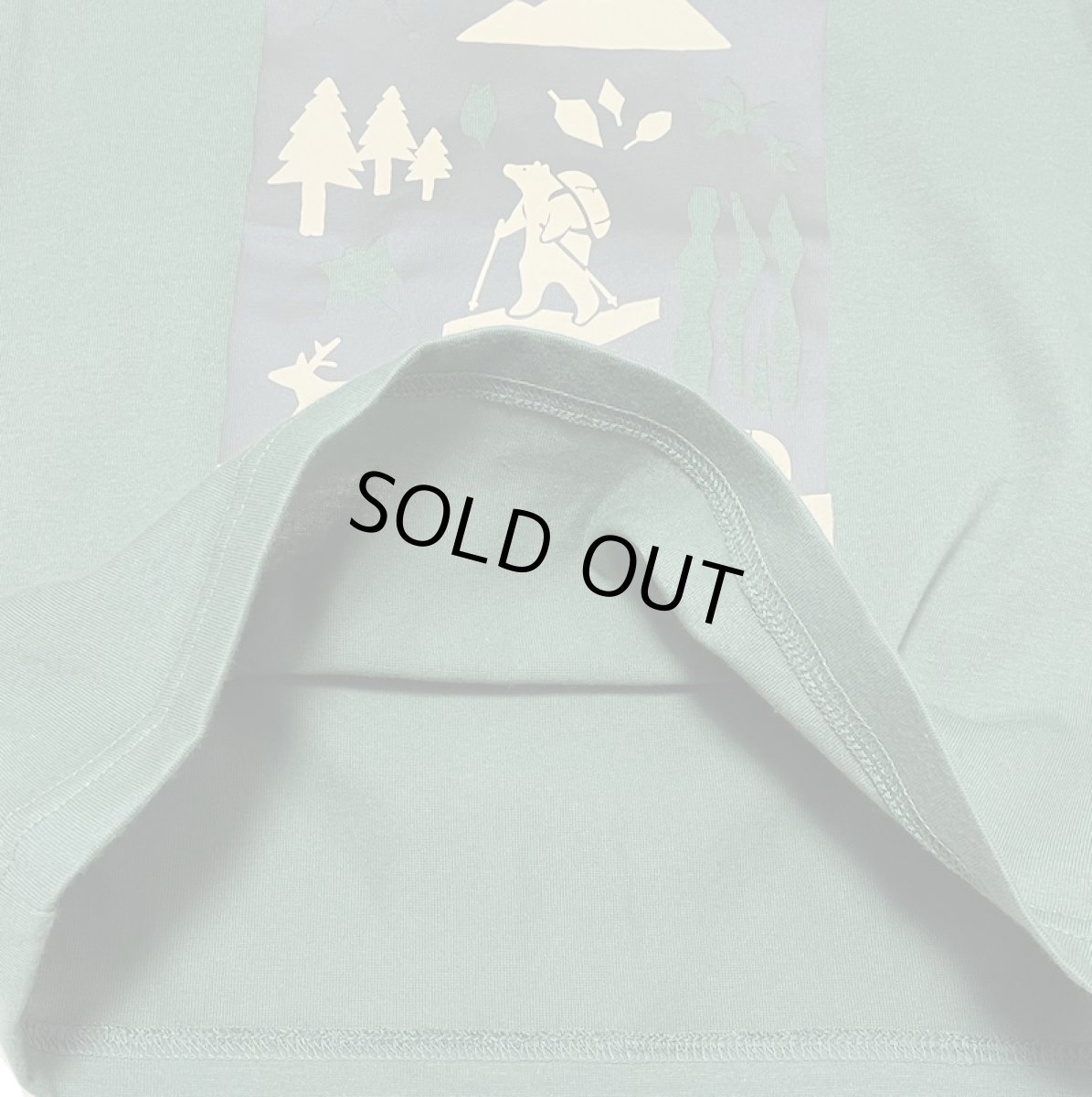 画像3: THE NORTH FACE トドラーショートスリーブシレトコトコティー キッズ 100cm-120cm (3)