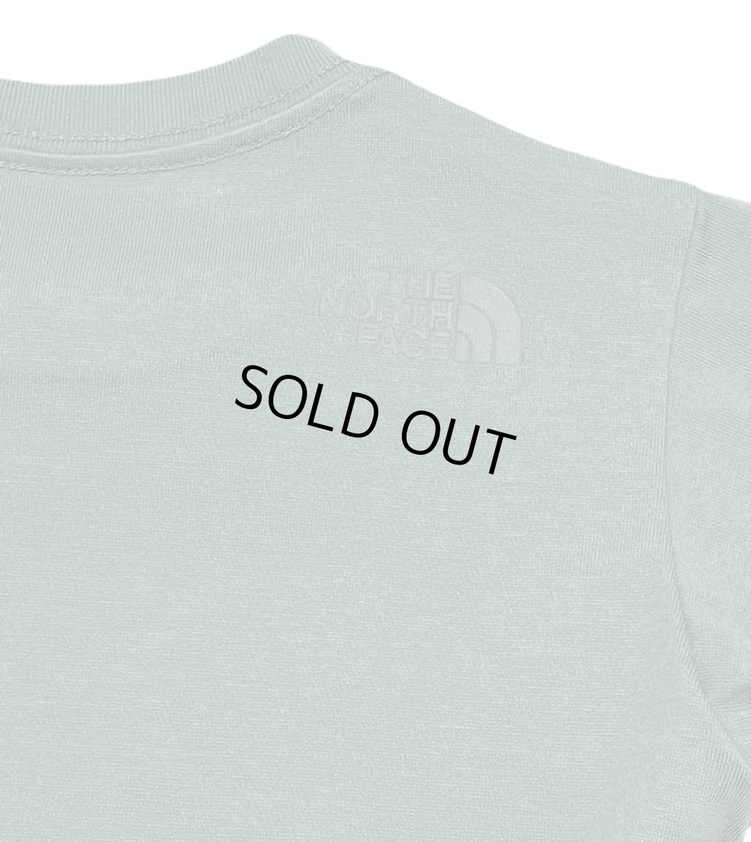 画像7: THE NORTH FACE ベビーショートスリーブシレトコトコティー ベビー 80cm-90cm (7)