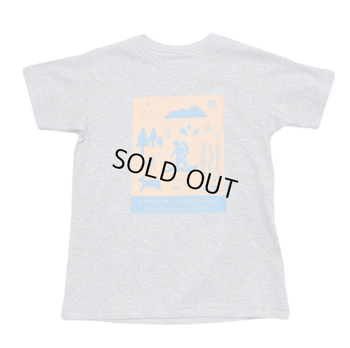 画像1: 【SALE40%OFF】THE NORTH FACE ショートスリーブシレトコトコティー キッズ 130cm-160cm (1)