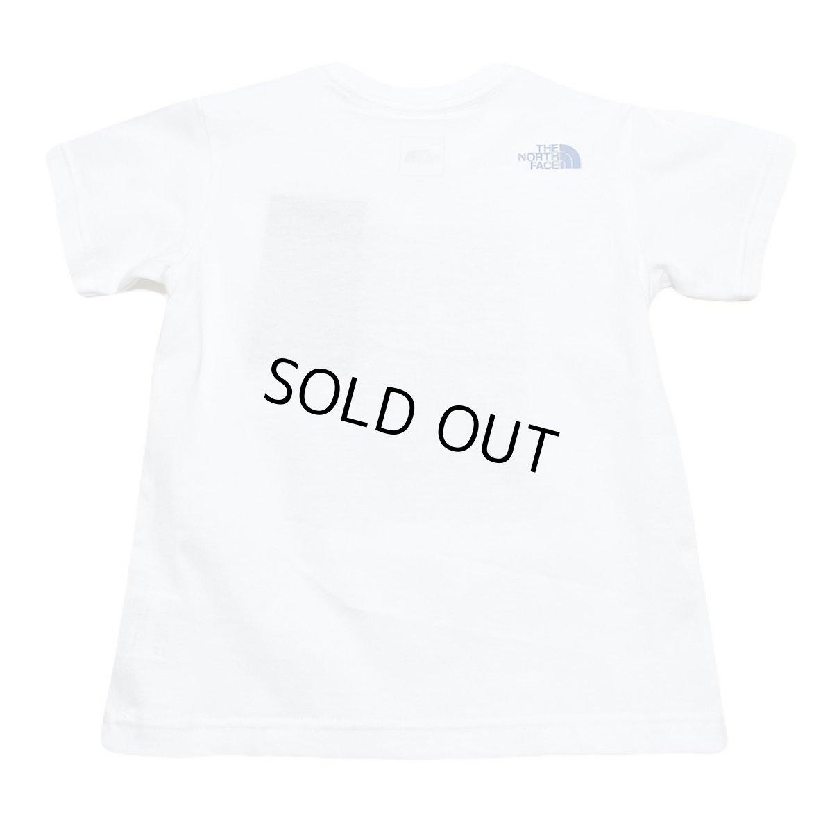 画像4: THE NORTH FACE トドラーショートスリーブシレトコトコティー キッズ 100cm-120cm (4)