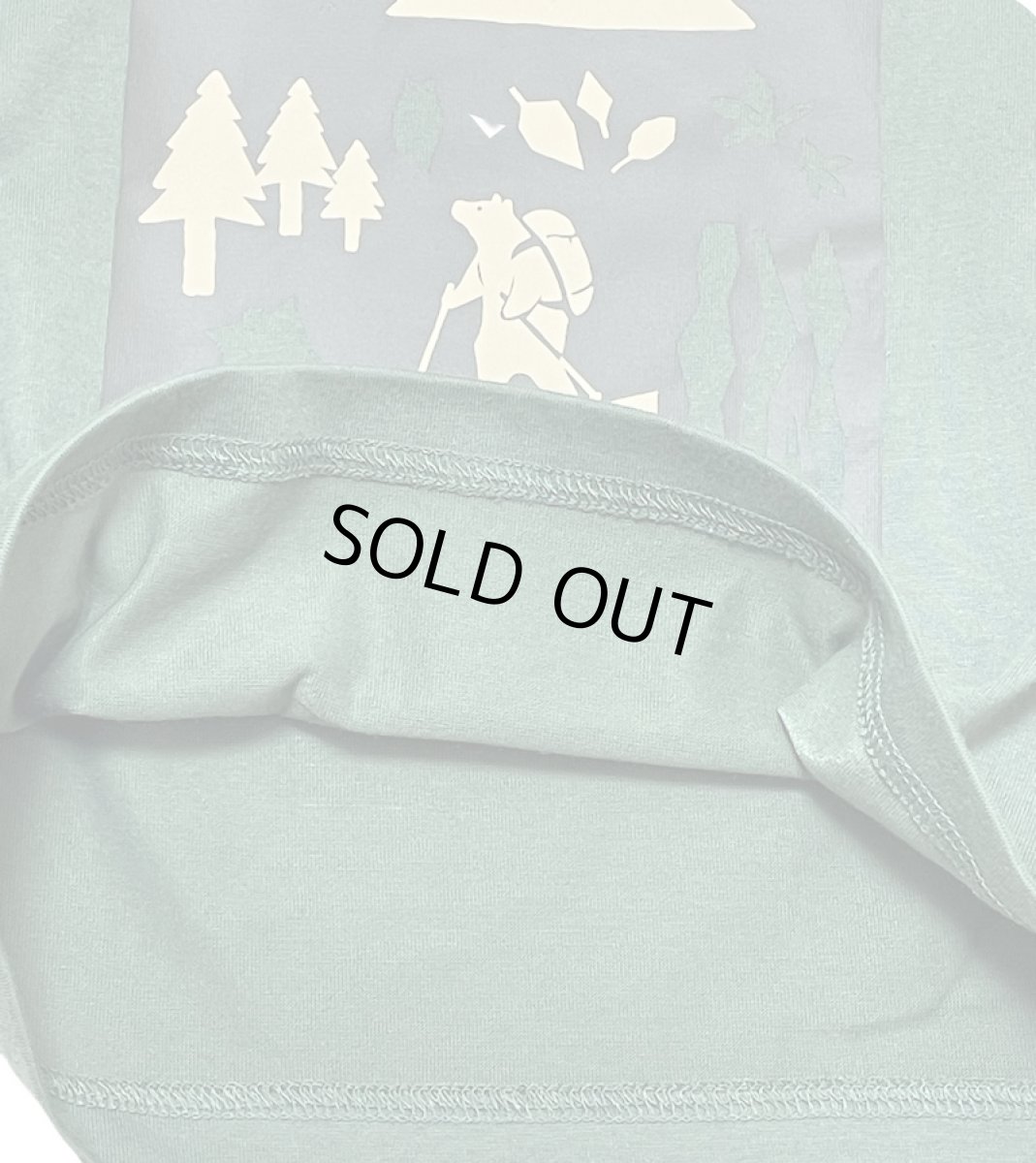 画像5: THE NORTH FACE ベビーショートスリーブシレトコトコティー ベビー 80cm-90cm (5)