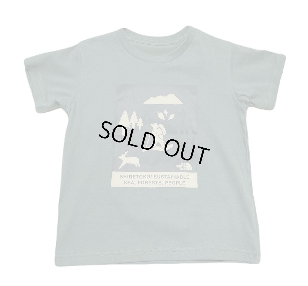 画像1: THE NORTH FACE トドラーショートスリーブシレトコトコティー キッズ 100cm-120cm (1)