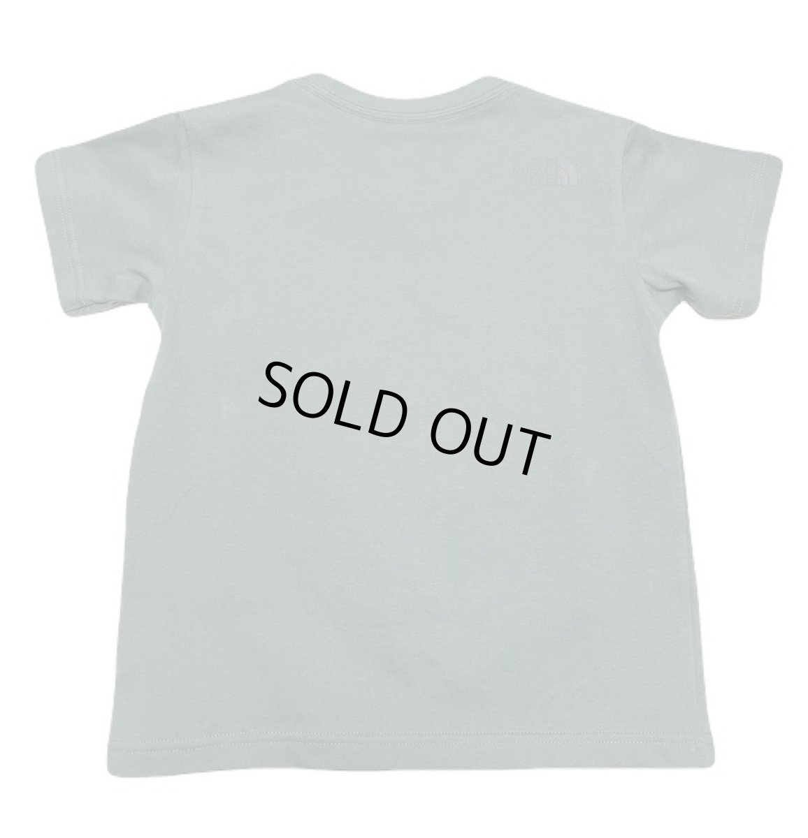 画像4: THE NORTH FACE トドラーショートスリーブシレトコトコティー キッズ 100cm-120cm (4)