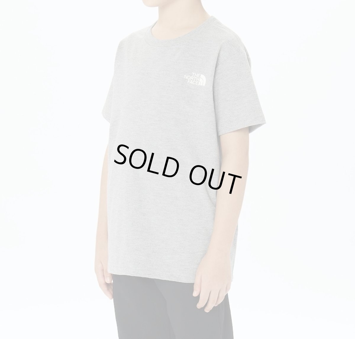 画像3: THE NORTH FACE ショートスリーブ ES サーキュレーションティー キッズ 130cm-160cm (3)