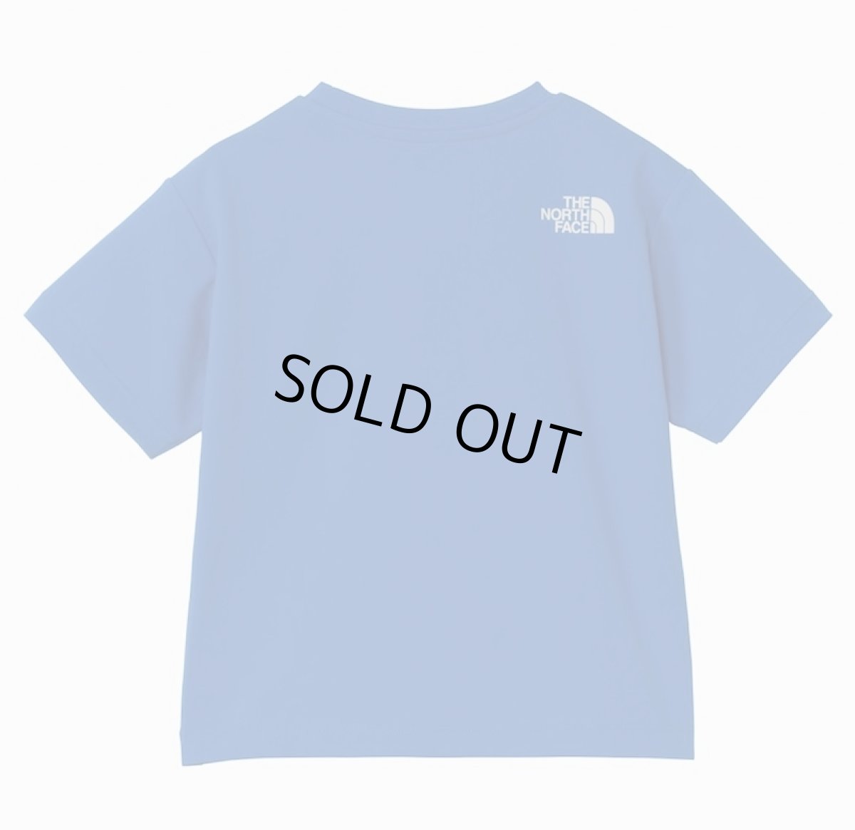 画像3: THE NORTH FACE トドラーショートスリーブサンシェードグラフィックティー キッズ 100cm-120cm (3)