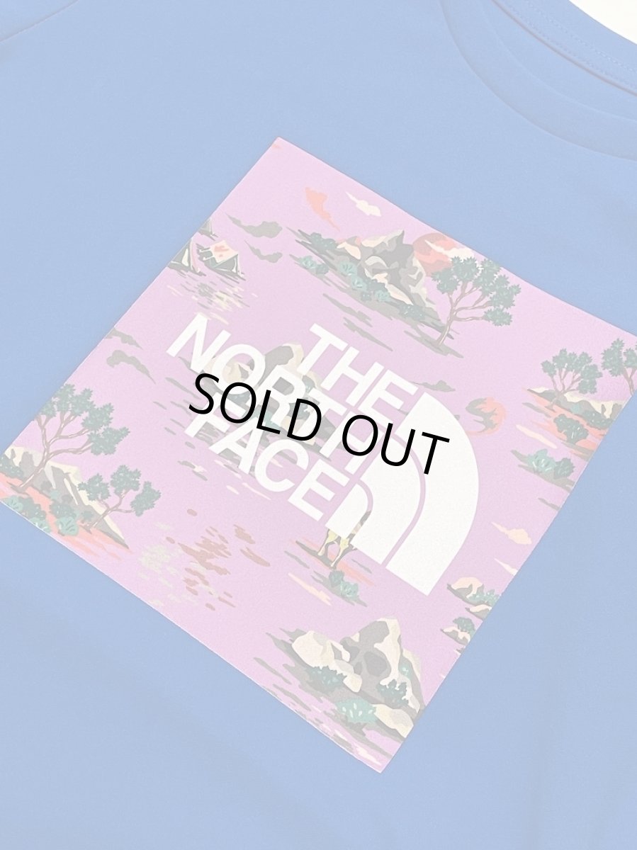 画像2: THE NORTH FACE トドラーショートスリーブサンシェードグラフィックティー キッズ 100cm-120cm (2)